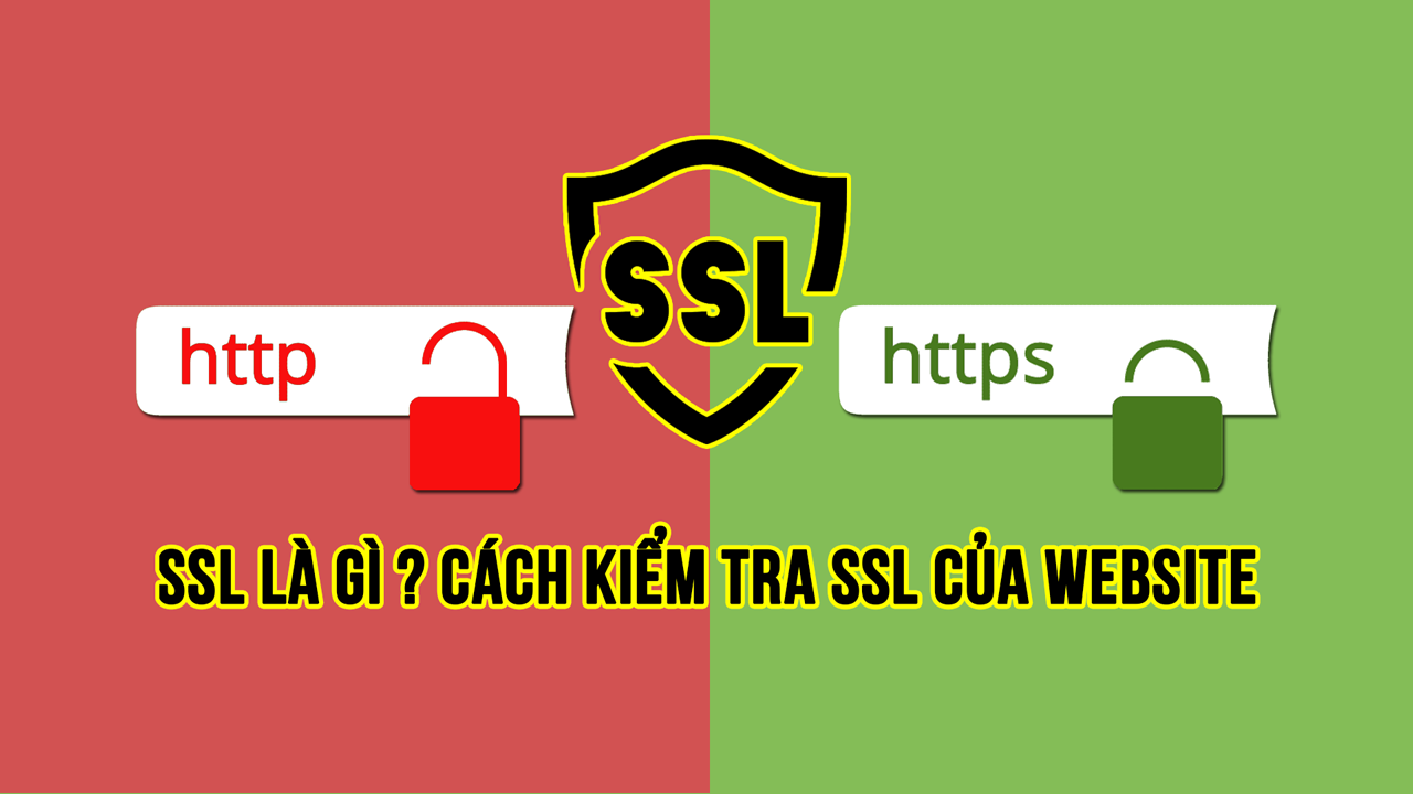 SSL là gì? Cách kiểm tra SSL của website